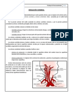 Trabajo de Neuroanatomía