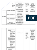 Matriz Del Marco Lógico