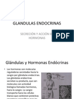 Glandulas Endocrinas