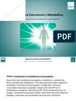 Regulaciones Acopladas PDF