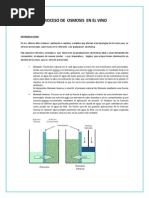 Proceso de Osmosis en El Vino