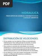 Distribucion de Velocidades. Hidraulica