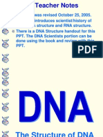 DNA Structure