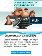 Ergonomia Carnicos