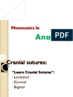 Anatomy Head and Neck Mnemonics