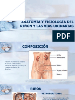 Anatomia y Fisiología Del Riñón y Las Vias