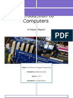 Introduction To Computer Programming Project Report