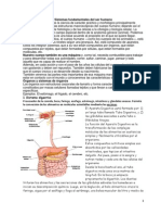 Modulo Sistemas Del Cuerpo Humano