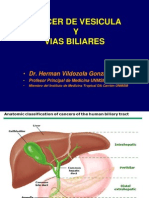 Cancer de Vesicula y Vias Biliares 2012 - DR Vildozola