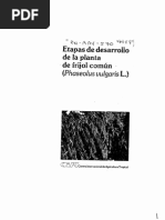 Etapas de Desarrollo de Frijol PDF