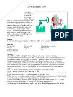 Liver Enzyme Lab