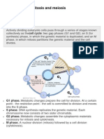 The Cell Cycle