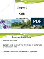 Cells PDF