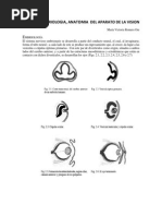 Manual de Oftalmologia Final