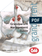 Grandparent Management Guide PDF