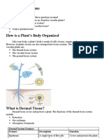 Plant Tissue Systems