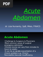 Acute Abdomen, Nyeri Akut Abdomen