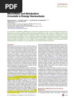 MiRNA Metabolism