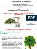 Teoria de La Medicion de Beneficios Ambientales