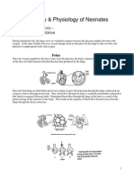 Anatomy and Physiology of Neonates