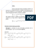 Trabajo Final de Examen-Calculo