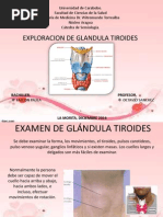 Examen de Glándula Tiroides