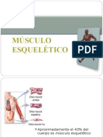 Contraccion Musculo Esqueletico