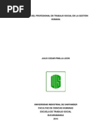 El Rol Del Profesional en Trabajo Social en La Gestión Humana