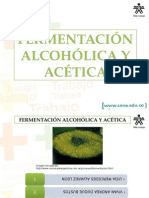 Fermentacion Alcoholica