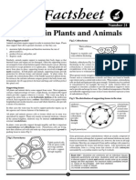 Support in Plants and Animals