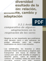 Análisis Comparativo de Algunas Adaptaciones en La Respiración de Los Seres Vivos