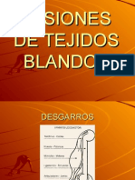 Lesiones de Tejidos Blandos