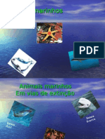 Animais Marinhos