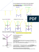 How To Remember The Brachial Plexus