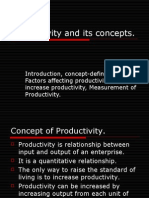 Productivity and Its Concepts