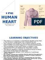 The Human Heart: Dr. Nwosu C.I.A., MSC, MBBS, MD