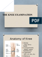 Knee Examination