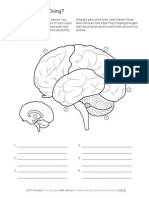 Brain Regions Worksheet