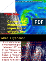 Typhoon