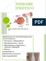 Exposicion de Sindrome Nefrotico 