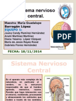 Sistema Nervioso, Escoliosis y Lordosis