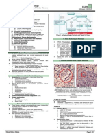 Exam OS 214: Nephrology: Lec 08: Pathology of Tubular Diseases