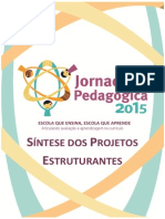 Sintese Dos Projetos Estruturantes PDF