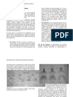 Sistema de Complemento (Resumen)