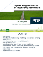 The Role of Crop Modeling and Remote Sensing in Rice Productivity Improvement