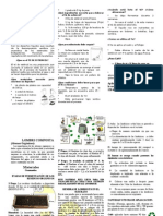 Folleto Te de Estiercol UES