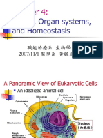 96 (1) Tissue and Organs