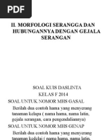 III. Morfologi Serangga