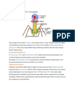 Virus Dan Monera