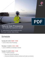 Natural Gas Processing